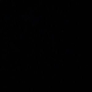 Meet your Posher, Lilly